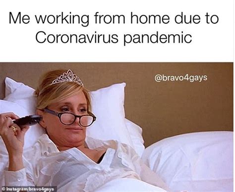 Covid Work From Home Memes That Will Crack You Up News | Hot Sex Picture