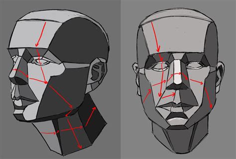 How to Draw a Face - Facial Proportions | Drawings, Face drawing ...