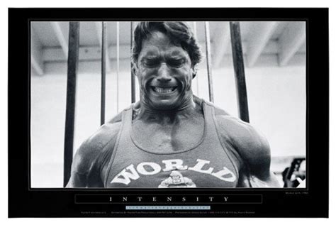 ARNOLD SCHWARZENEGGER "INTENSITY" Pumping Iron poster | #49454503