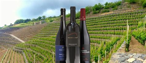 7 Most Popular Sicilian Red Wines - TasteAtlas