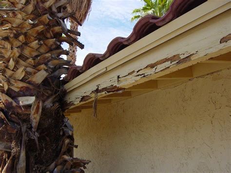 Termite Damage: Termite Damage To Wood