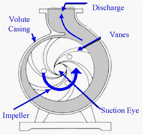 Centrifugal Pump Diagram And Explanation What Is Centrifugal