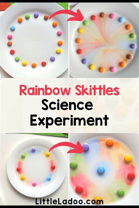 Skittles rainbow science experiment for kids – Artofit