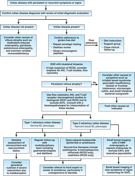 Management of refractory celiac disease