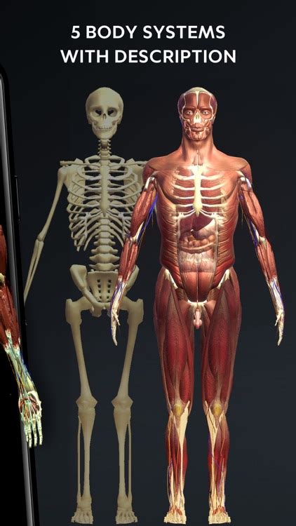 Human Body Atlas: 3D Medical by Improvision