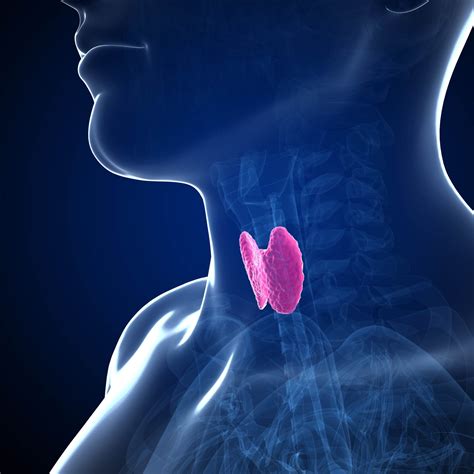 Thyroid Gland, Thyroid Nodules, Neck Swelling, Thyroid Cancer | HK Surgeon