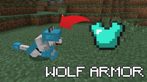 Wolf Armor for Minecraft Pocket Edition 1.14