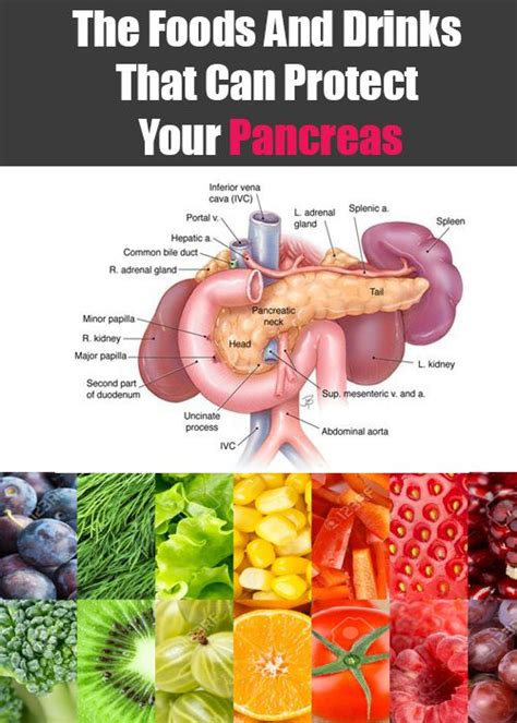 Pin by Sharon Henderson on Healthcare Reform | Pancreatitis diet ...