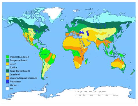 World Biome Map Coloring Worksheet - Abhayjere.com