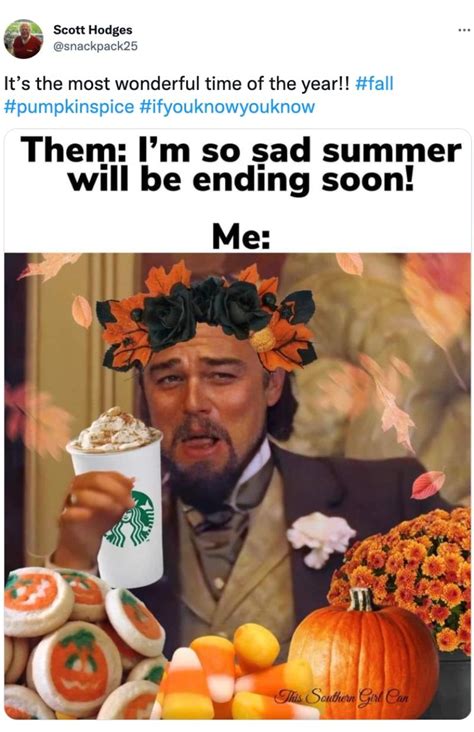 #Basic Pumpkin Spice Memes to Send to Your Friends and Family