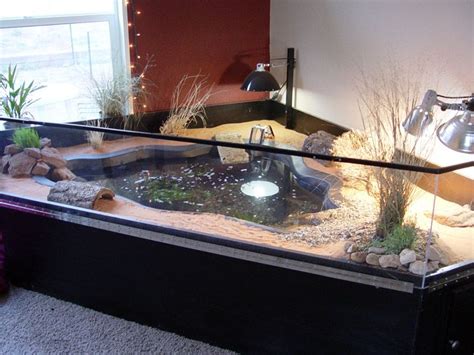 13 best images about New turtle habitat ideas on Pinterest | Turtles ...