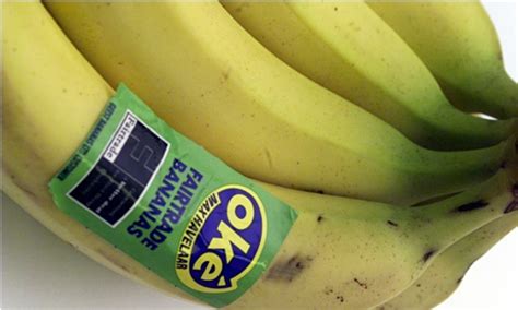 10 Facts about Fair Trade Bananas | Facts and Fun