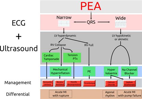 Novel Management of PEA Arrest (Calgary EM Journal Club) - SOCMOB Blog