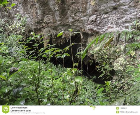 Cave entrance stock image. Image of nature, tropic, boulder - 116250257