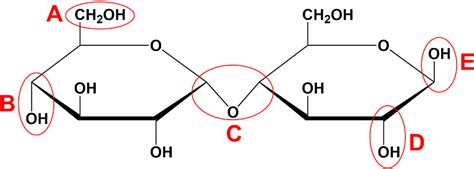 Reducing Sugars - Biochemistry Video | Clutch Prep