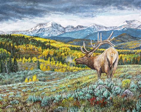 Rocky Mountain Bull Elk Painting by Aaron Spong - Pixels