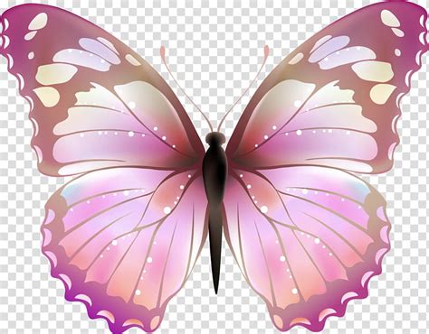 Pink And Black Butterfly Clipart Png