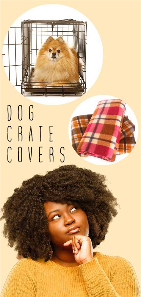 Best Dog Crate Covers - The Best Ways To Make Your Dog's Den Snug