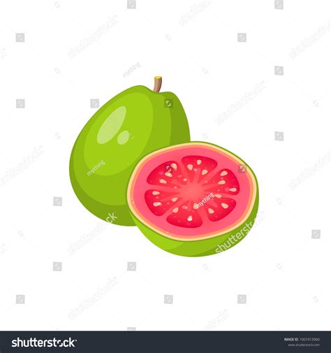 4.773 Guava Cartoon Bilder, Stockfotos und Vektorgrafiken | Shutterstock