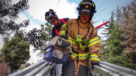 10 grandes hitos de los bomberos en la historia de Bogotá | Bogota.gov.co