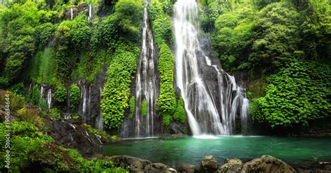 Tropical Rainforest Waterfalls With Animals