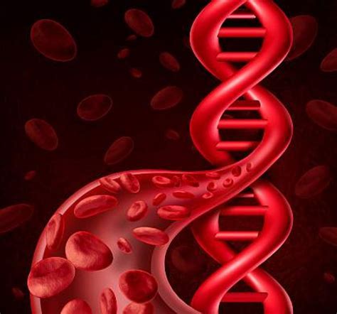 Heart disease risk: New genetic test could offer stronger early ...