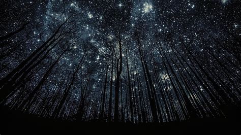 Stars Wallpapers for Desktop (78 images) | Night sky photos, Night sky ...