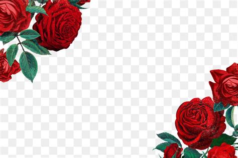 Red rose png border frame, | Premium PNG - rawpixel