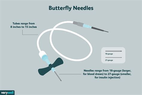 Butterfly Needles Explained - E Phlebotomy Training