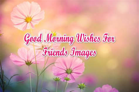 Beautiful Good Morning Wishes For Friends Images | SuperbWishes