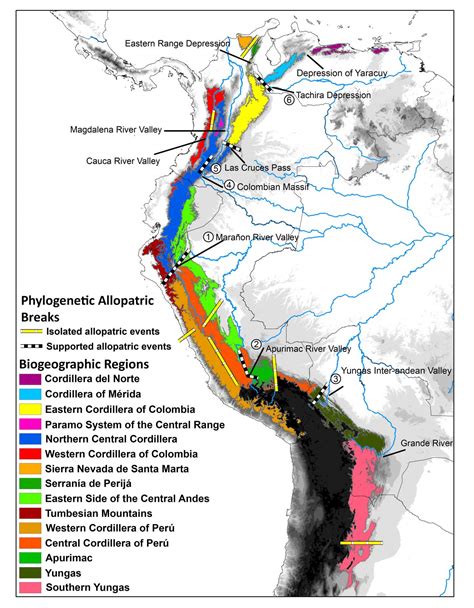 New Study Reveals How the Complex Biodiversity of the Tropical Andes ...