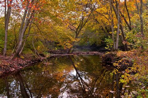 Autumn, forest, river wallpaper | nature and landscape | Wallpaper Better