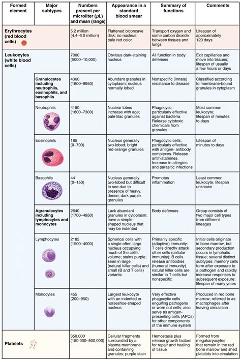 Erythrocytes | Anatomy and Physiology II