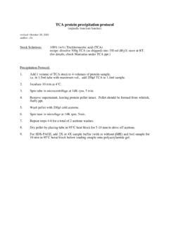 TCA protein precipitation protocol / tca-protein-precipitation-protocol ...