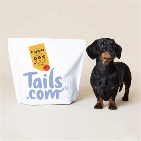 13 Best Dog Food Subscription Boxes of 2024 - Urban Tastebud