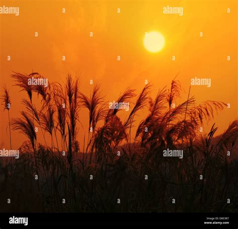 Sunset landscape of yangshuo in guilin,china Stock Photo - Alamy