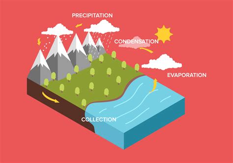 Water Cycle Diagram Free Vector Art - (6235 Free Downloads)