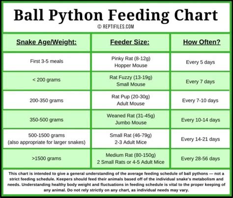 Ball Python Feeding Tips | ReptiFiles' Ball Python Care Guide