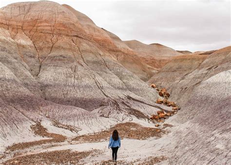 Petrified Forest National Park in One Day - Getaway Compass