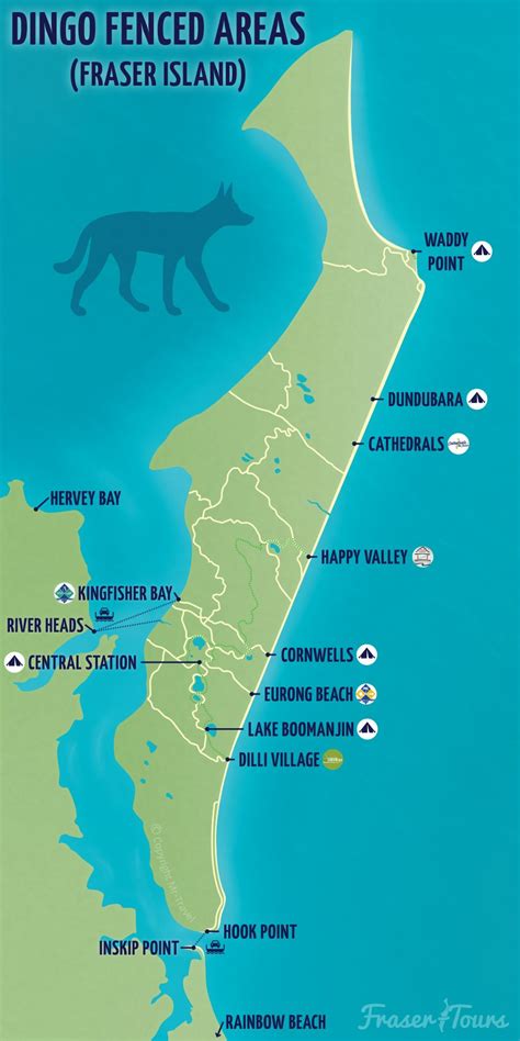 Dingo-Proof Fence Guide for K'gari (Fraser Island) - Fraser-Tours.com