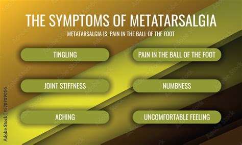 the symptoms of Metatarsalgia. Vector illustration for medical journal ...