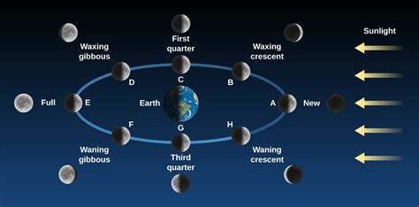 4.5 Phases and Motions of the Moon | Astronomy