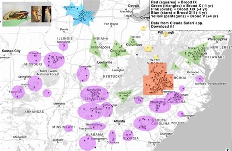 Cicada Swarm 2022 Map