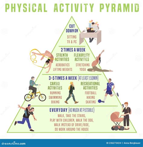 Everyday Physical Activity Pyramid. Vector Illustration Isolated on a ...