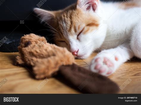 Closeup Photo Ginger Image & Photo (Free Trial) | Bigstock