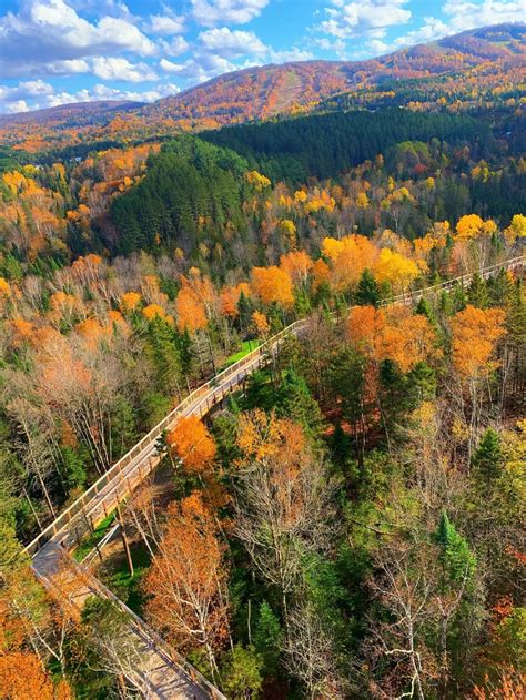 Best fall ever? Maybe! Here's why Quebec's leaves are bursting with ...