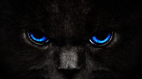 🔥 [50+] Black Panther Blue Eyes Wallpapers | WallpaperSafari