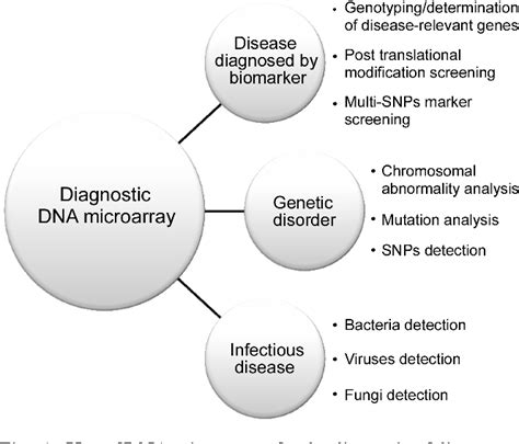 Figure 1 from Applications of DNA microarray in disease diagnostics ...