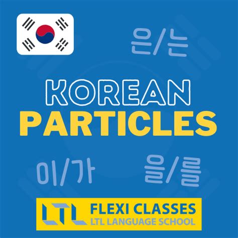 Korean Particles || HOW TO Use 은/는, 이/가 and 을/를 | Flexi Classes