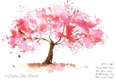 A watercolor cherry blossom study I did last year. Every year one of ...